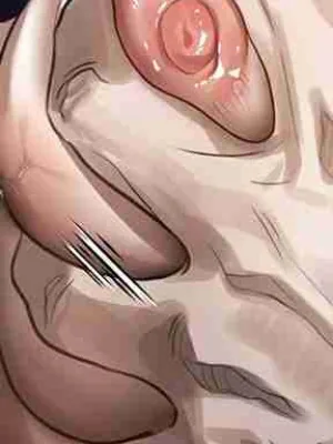 Ch.27